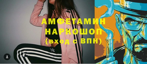 apvp Ельня