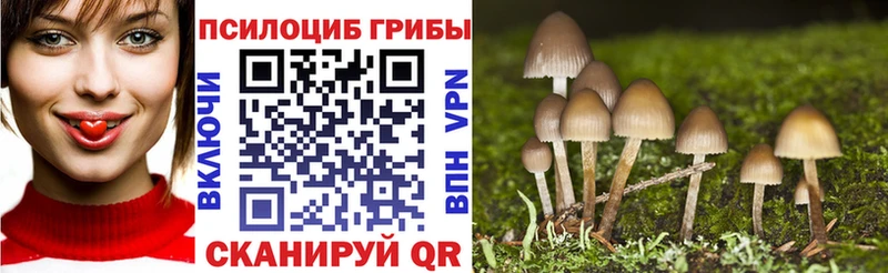 купить наркотики цена  Жигулёвск  Псилоцибиновые грибы Psilocybe 